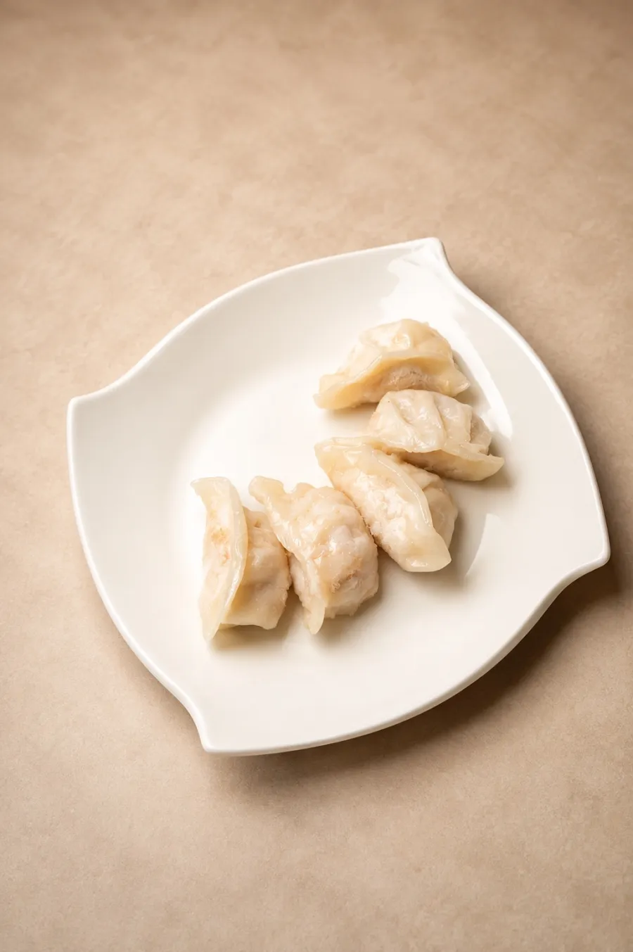 Gyoza mit Hähnchen